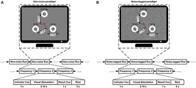 Enhanced Plasticity of Human Evoked Potentials by Visual Noise During the Intervention of Steady-State Stimulation Based Brain-Computer Interface